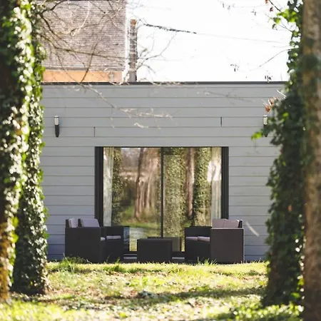 Le De L'olivier Montamisé