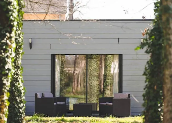 Le De L'olivier Montamisé